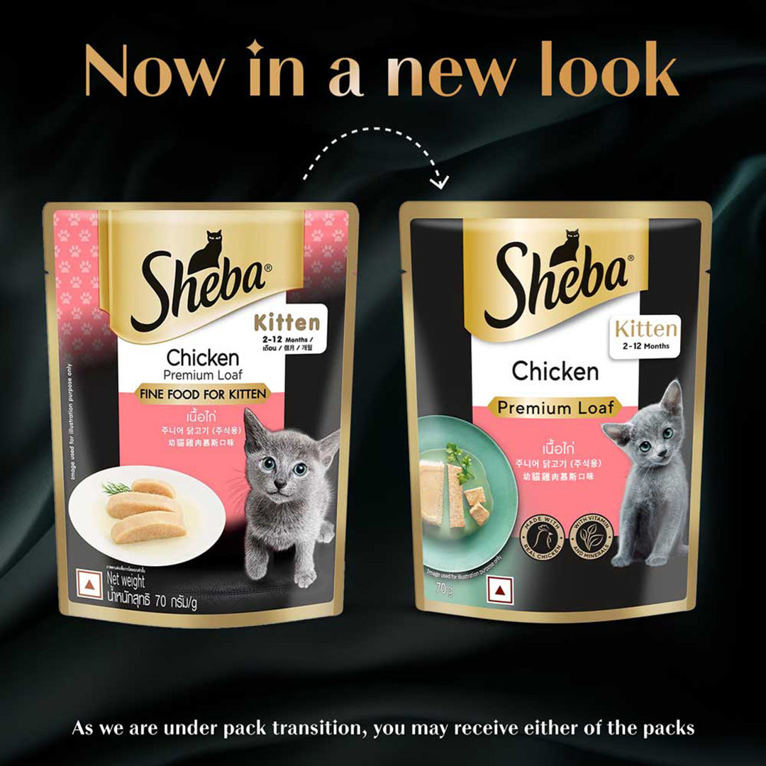 Sheba Fine Premium Kitten (2-12 months) Wet Cat Food, Chicken Premium Loaf, 70 g Pouch, High-moisture gravy kitten cat food for healthy hydration