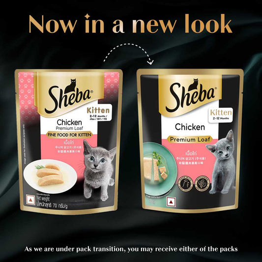Sheba Fine Premium Kitten (2-12 months) Wet Cat Food, Chicken Premium Loaf, 70 g Pouch, High-moisture gravy kitten cat food for healthy hydration