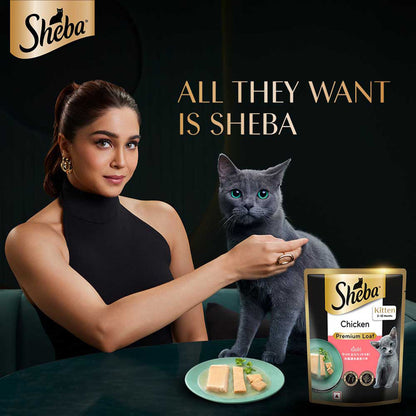Sheba Fine Premium Kitten (2-12 months) Wet Cat Food, Chicken Premium Loaf, 70 g Pouch, High-moisture gravy kitten cat food for healthy hydration