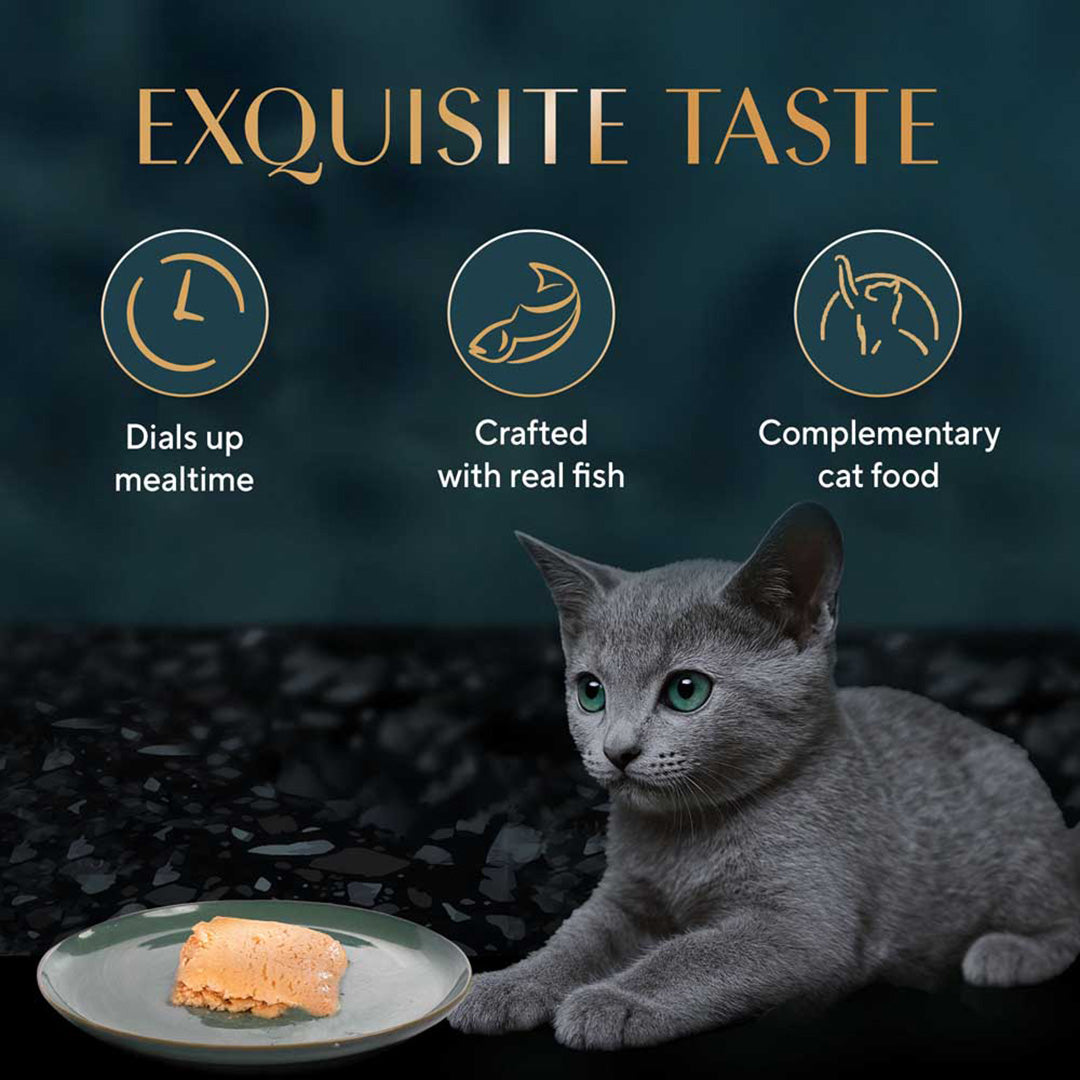 Sheba Fine Premium Kitten (2-12 months) Wet Cat Food, Chicken Premium Loaf, 70 g Pouch, High-moisture gravy kitten cat food for healthy hydration