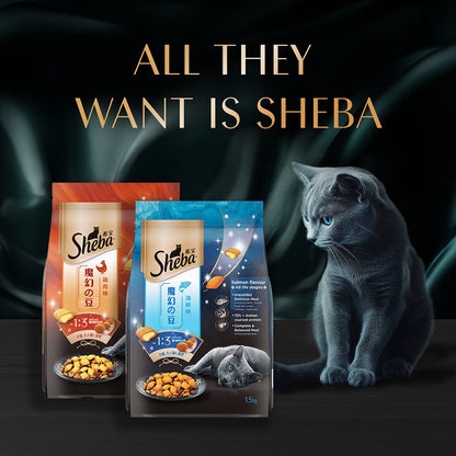 Sheba Kitten and Adult, Irresistible Dry Cat Food, Chicken Flavour, 1.5kg Pack