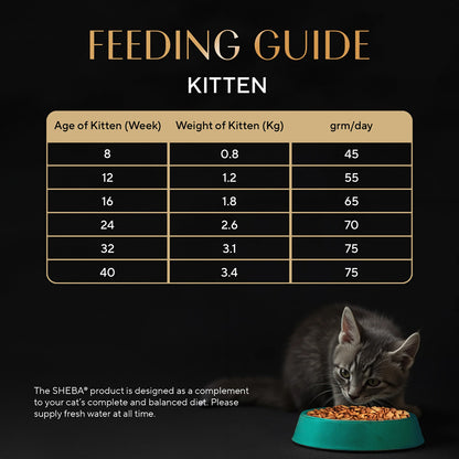 Sheba Kitten and Adult, Irresistible Dry Cat Food, Chicken Flavour, 1.5kg Pack