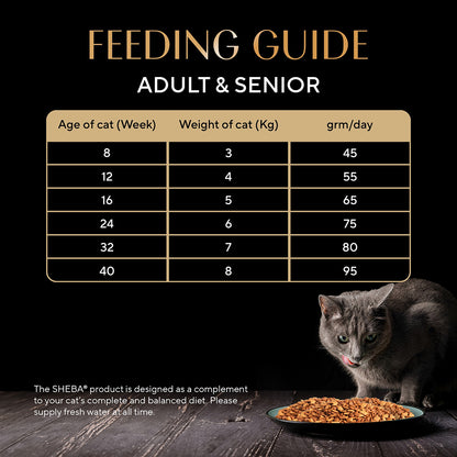 Sheba Kitten and Adult, Irresistible Dry Cat Food, Chicken Flavour, 1.5kg Pack