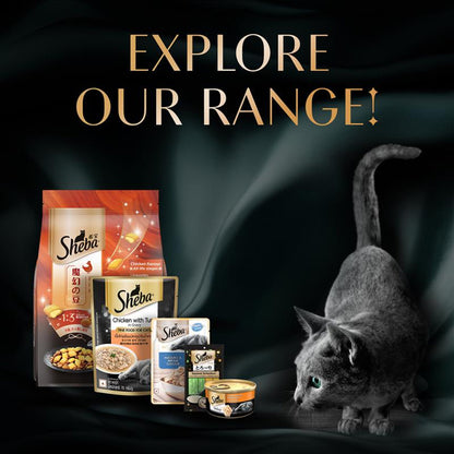 Sheba Kitten and Adult, Irresistible Dry Cat Food, Chicken Flavour, 1.5kg Pack