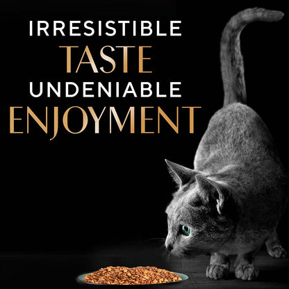 Sheba Kitten and Adult, Irresistible Dry Cat Food, Salmon Flavour, 1.5kg