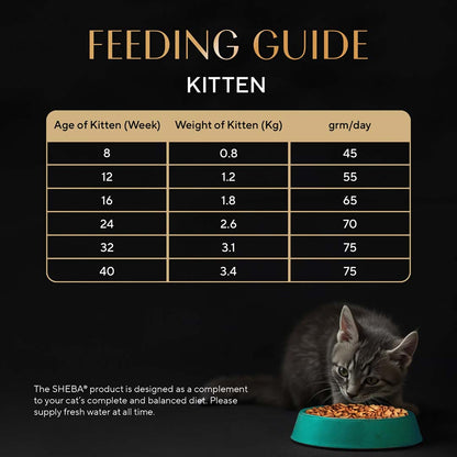 Sheba Kitten and Adult, Irresistible Dry Cat Food, Salmon Flavour, 1.5kg