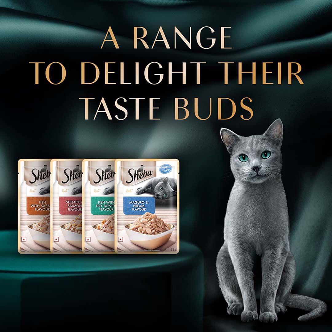 Sheba Rich Premium Adult (1+ Years) Wet Cat Food, Fish with Dry Bonito Flavour, 35 g Pouch, High-moisture wet food for healthy hydration