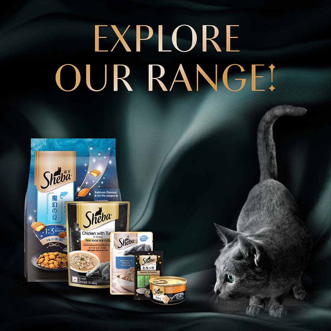 Sheba Rich Premium Adult (1+ Years) Wet Cat Food, Fish with Dry Bonito Flavour, 35 g Pouch, High-moisture wet food for healthy hydration