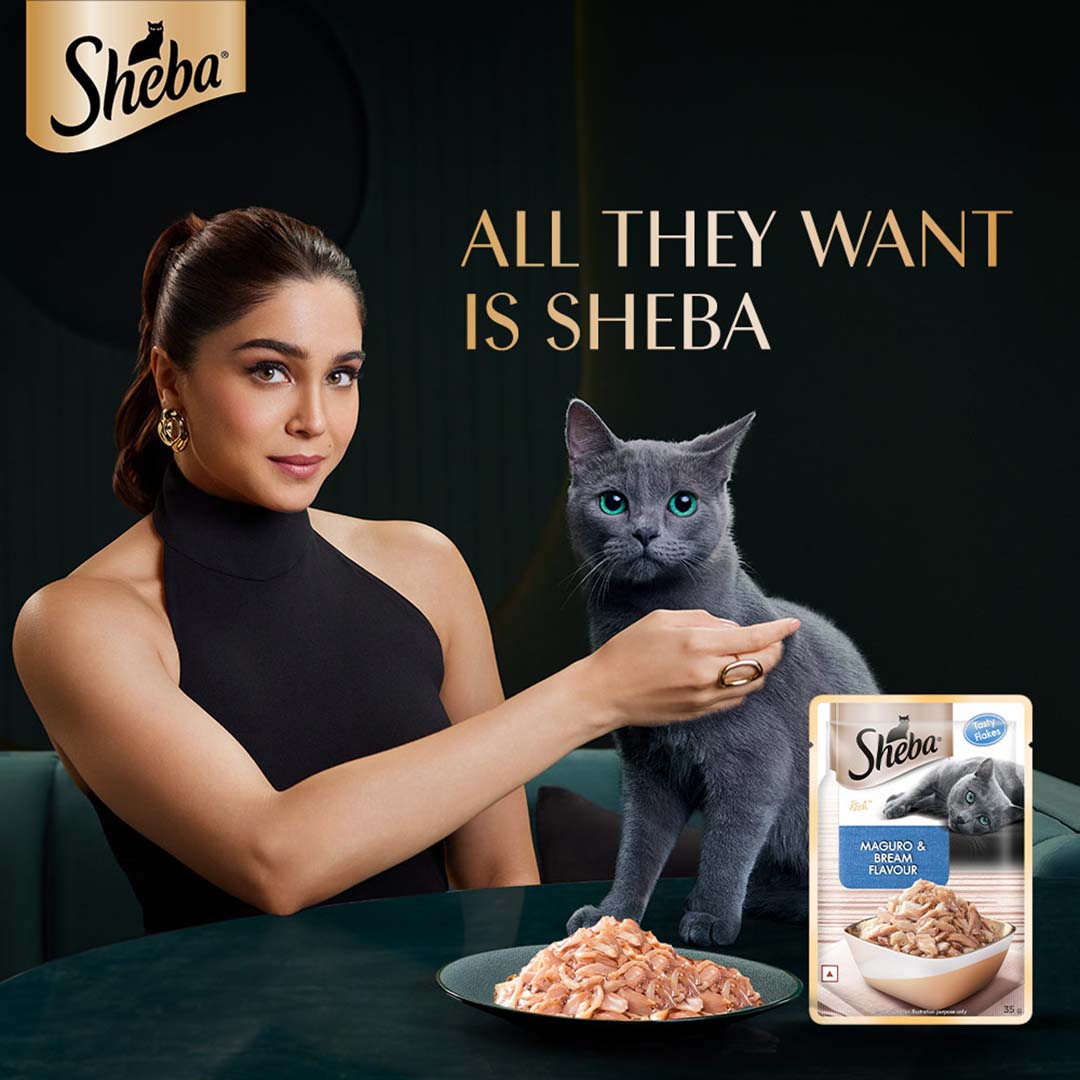 Sheba Rich Premium Adult (1+ Years) Wet Cat Food, Maguro & Bream Flavour, 35 g Pouch, High-moisture wet food for healthy hydration