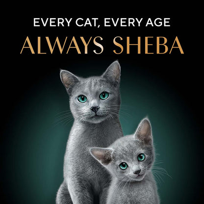 Sheba Rich Premium Adult (1+ Years) Wet Cat Food, Maguro & Bream Flavour, 35 g Pouch, High-moisture wet food for healthy hydration