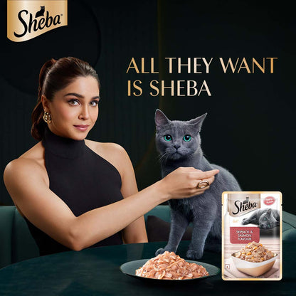 Sheba Rich Premium Adult (1+ Years) Wet Cat Food, Skipjack & Salmon Flavour, 35 g Pouch, High-moisture wet food for healthy hydration