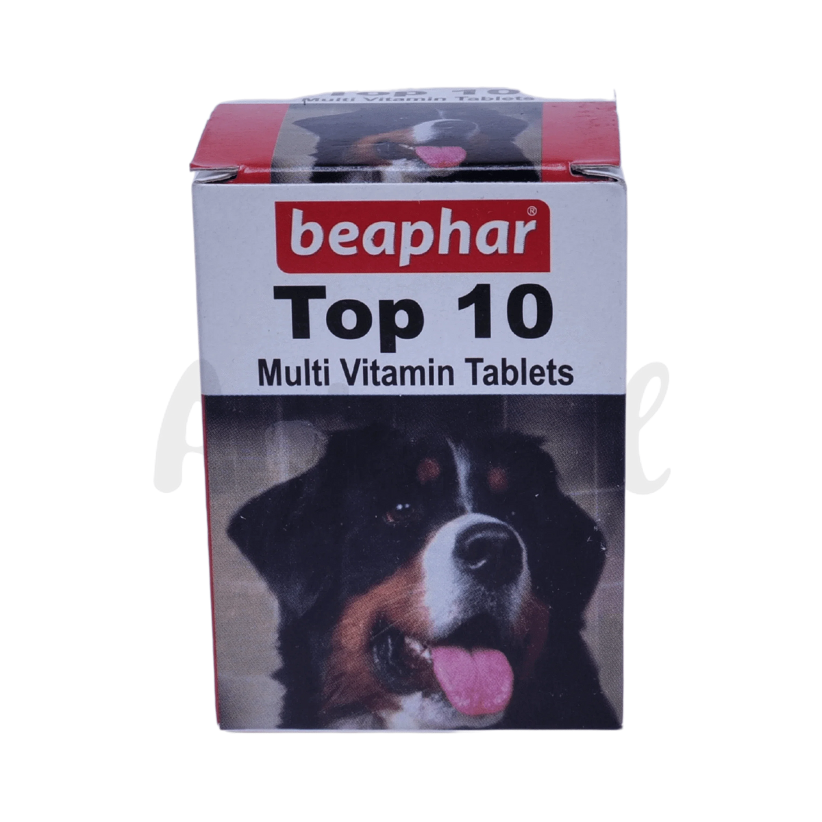 TOP 10 DOG TABLET (M) - Animeal