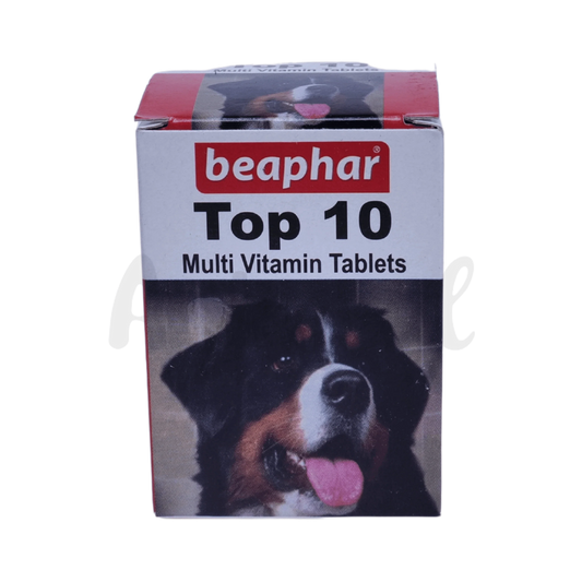 TOP 10 DOG TABLET (M) - Animeal