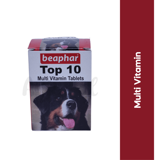 TOP 10 DOG TABLET (M) - Animeal