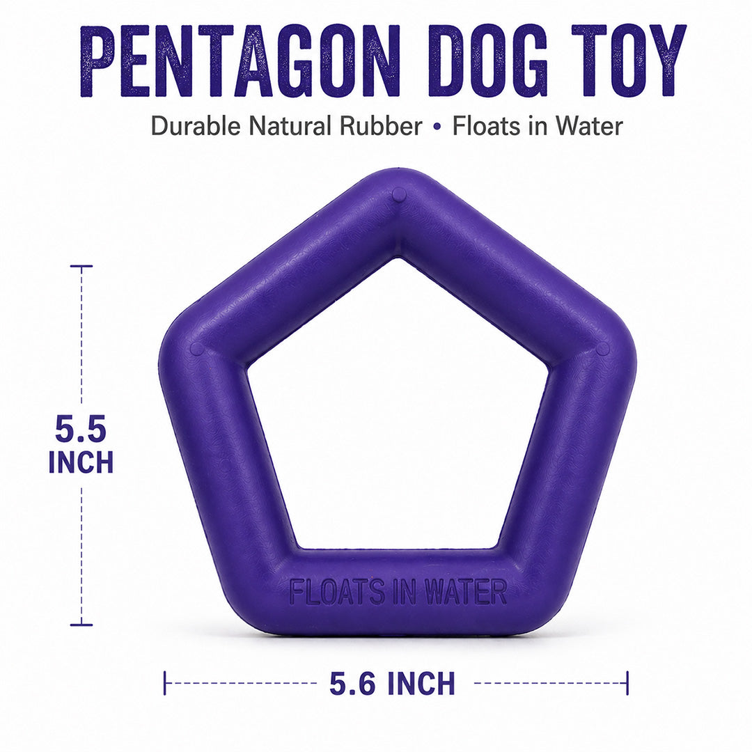 Talking Dog Club  Talking Dog Club - Sturdy - Hexagon Floater - Natural Rubber Toy