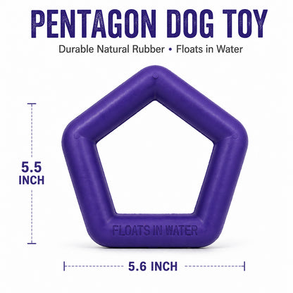 Talking Dog Club  Talking Dog Club - Sturdy - Hexagon Floater - Natural Rubber Toy