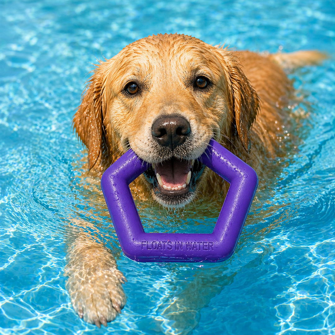 Talking Dog Club  Talking Dog Club - Sturdy - Hexagon Floater - Natural Rubber Toy
