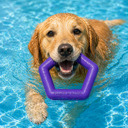 Talking Dog Club  Talking Dog Club - Sturdy - Hexagon Floater - Natural Rubber Toy