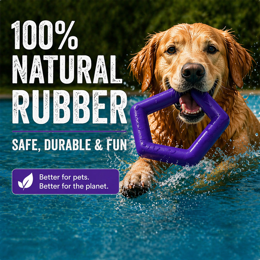 Talking Dog Club  Talking Dog Club - Sturdy - Hexagon Floater - Natural Rubber Toy
