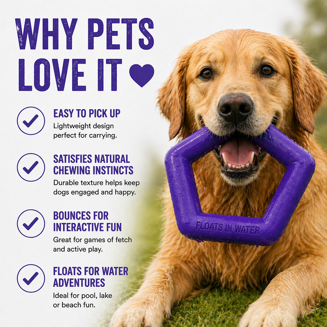 Talking Dog Club  Talking Dog Club - Sturdy - Hexagon Floater - Natural Rubber Toy