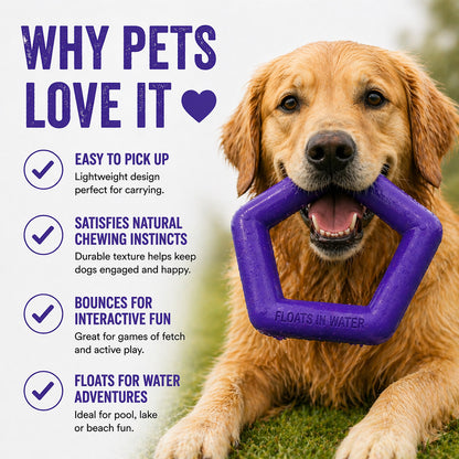 Talking Dog Club  Talking Dog Club - Sturdy - Hexagon Floater - Natural Rubber Toy