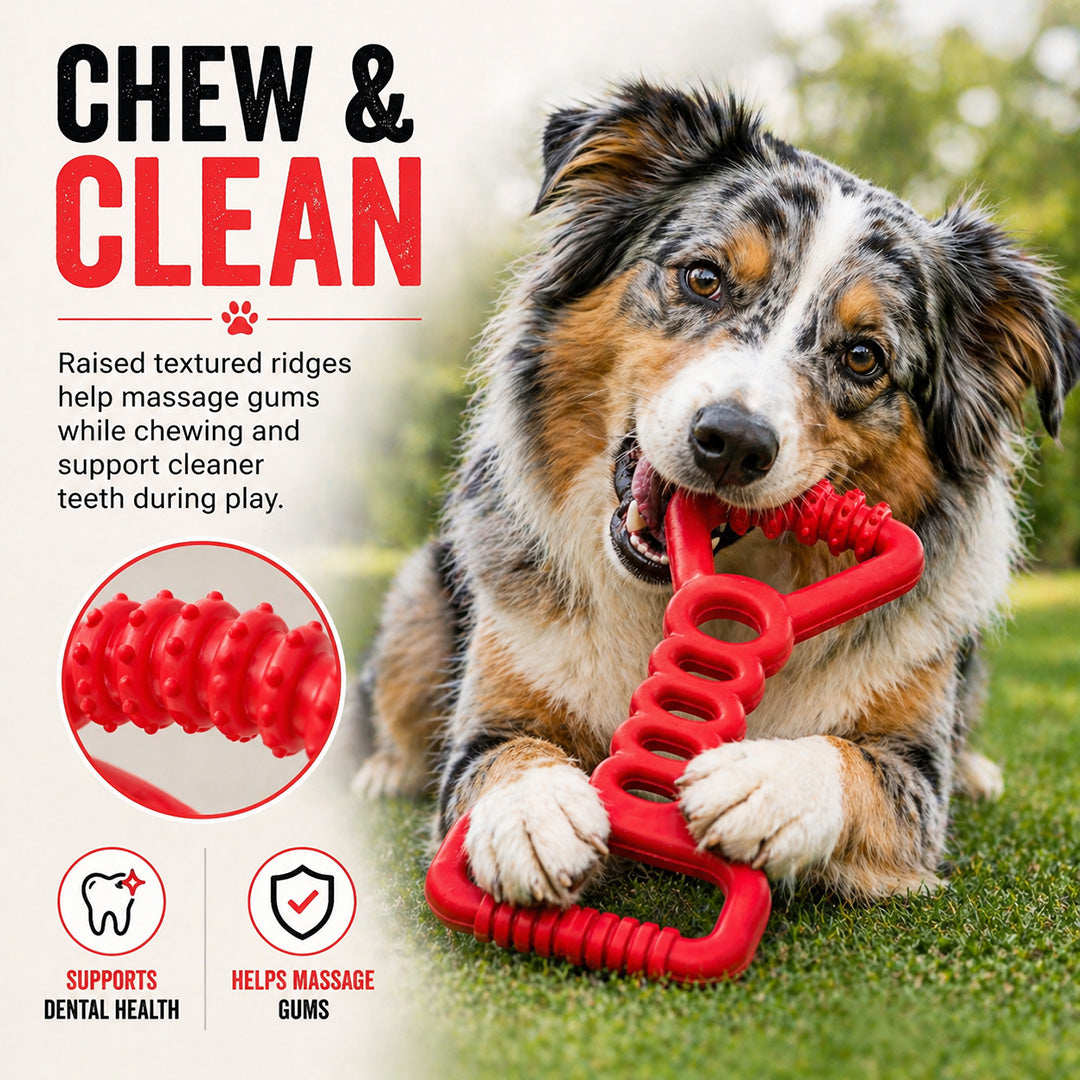 Talking Dog Club  Talking Dog Club - Sturdy - Tug Off - Natural Rubber Toy