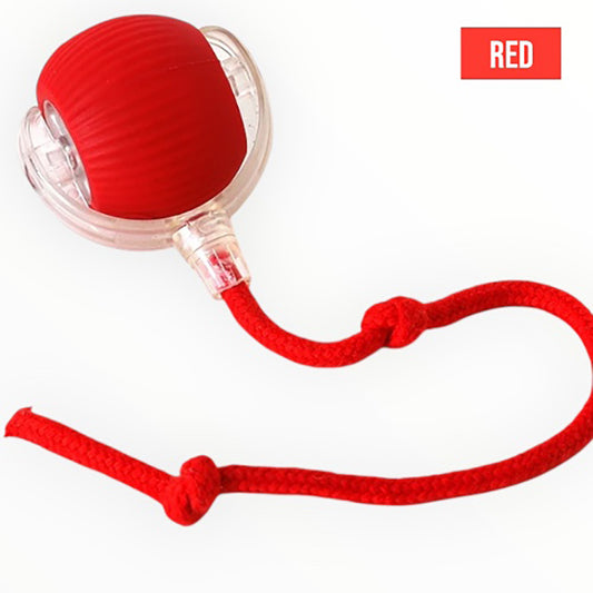 Talking Dog Club  Talking Dog Club -Automatic Rotating Interactive Cat Ball with LED for Cats, Kittens and Puppies