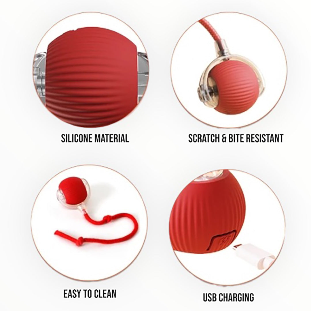 Talking Dog Club  Talking Dog Club -Automatic Rotating Interactive Cat Ball with LED for Cats, Kittens and Puppies