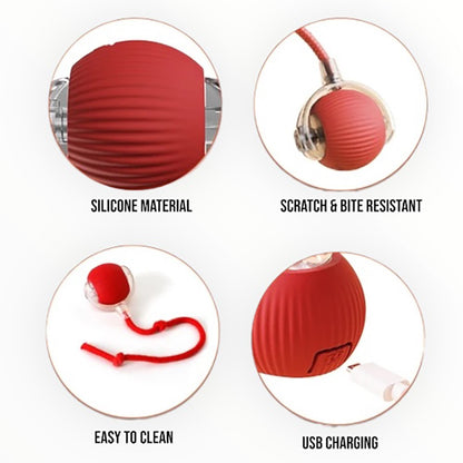 Talking Dog Club  Talking Dog Club -Automatic Rotating Interactive Cat Ball with LED for Cats, Kittens and Puppies