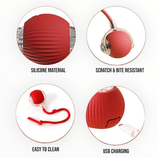 Talking Dog Club  Talking Dog Club -Automatic Rotating Interactive Cat Ball with LED for Cats, Kittens and Puppies