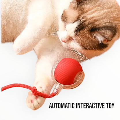 Talking Dog Club  Talking Dog Club -Automatic Rotating Interactive Cat Ball with LED for Cats, Kittens and Puppies