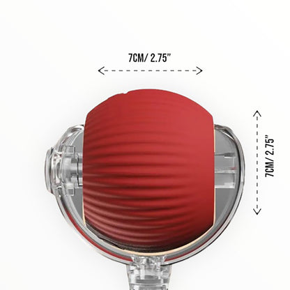 Talking Dog Club  Talking Dog Club -Automatic Rotating Interactive Cat Ball with LED for Cats, Kittens and Puppies