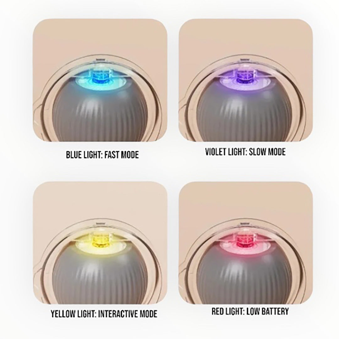 Talking Dog Club  Talking Dog Club -Automatic Rotating Interactive Cat Ball with LED for Cats, Kittens and Puppies