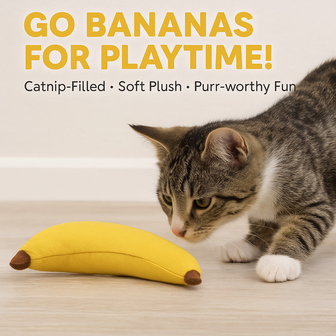 Talking Dog Club  Banana Cat Toy with 100% Catnip