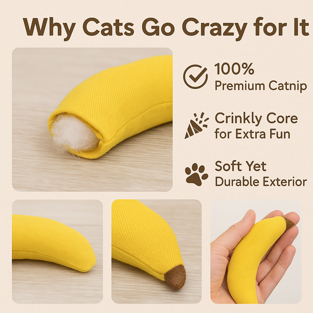 Talking Dog Club  Banana Cat Toy with 100% Catnip