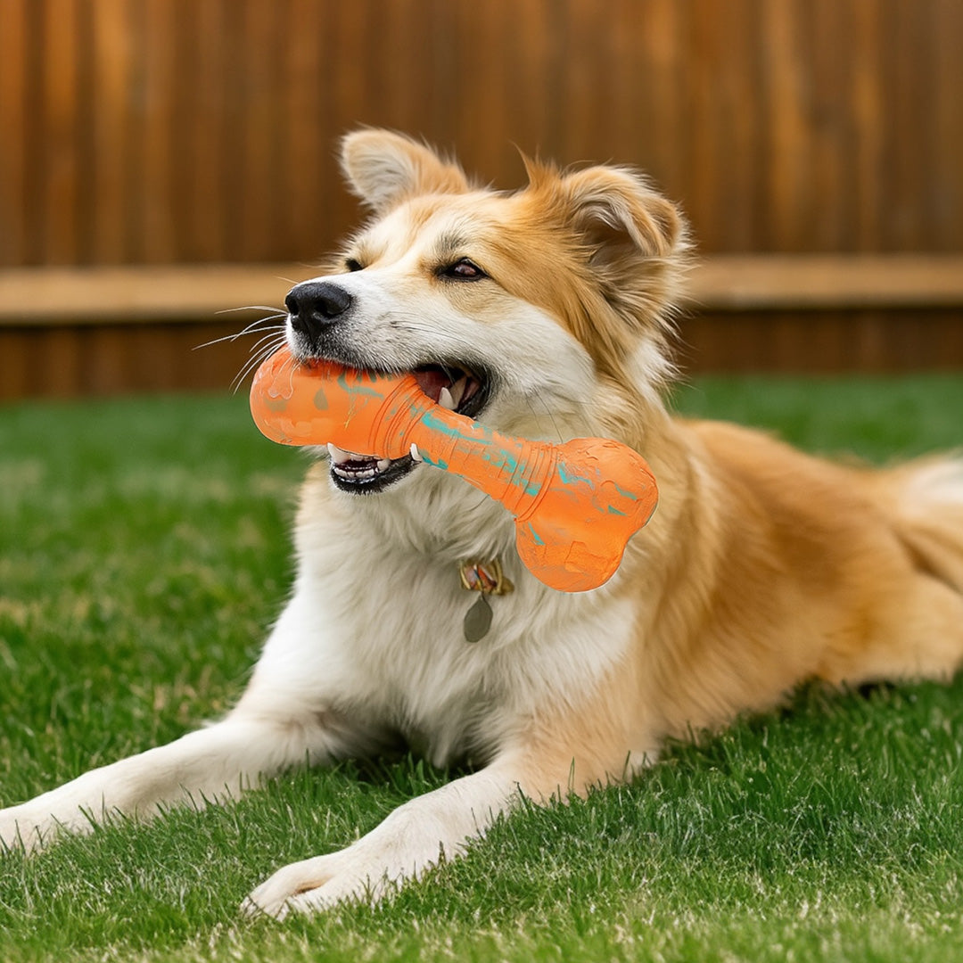 Talking Dog Club  Bone Rubber Treat Dispenser Toy - Yellow