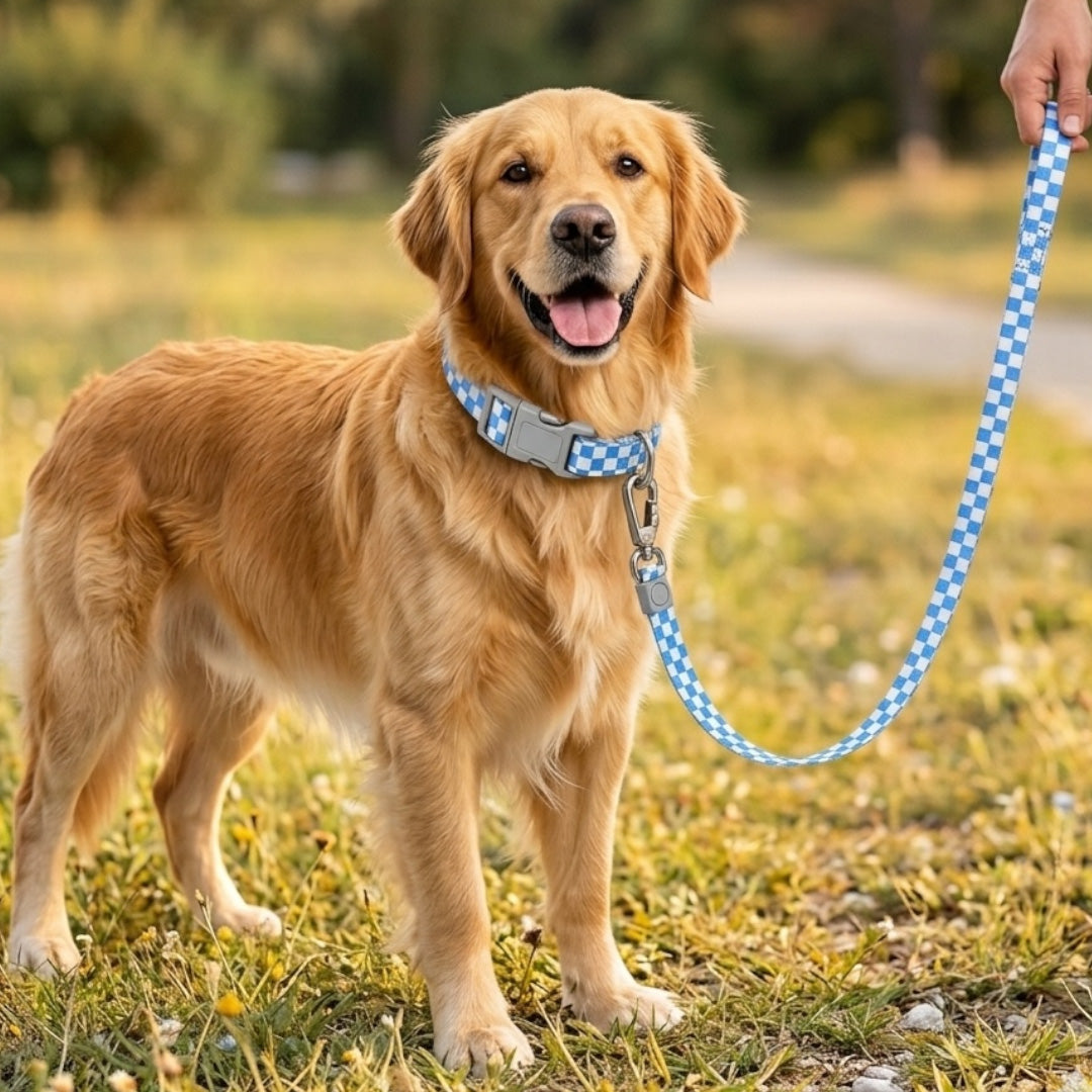 Talking Dog Club  Talking Dog Club - Checkmate Leash and Collar Combo - Blue