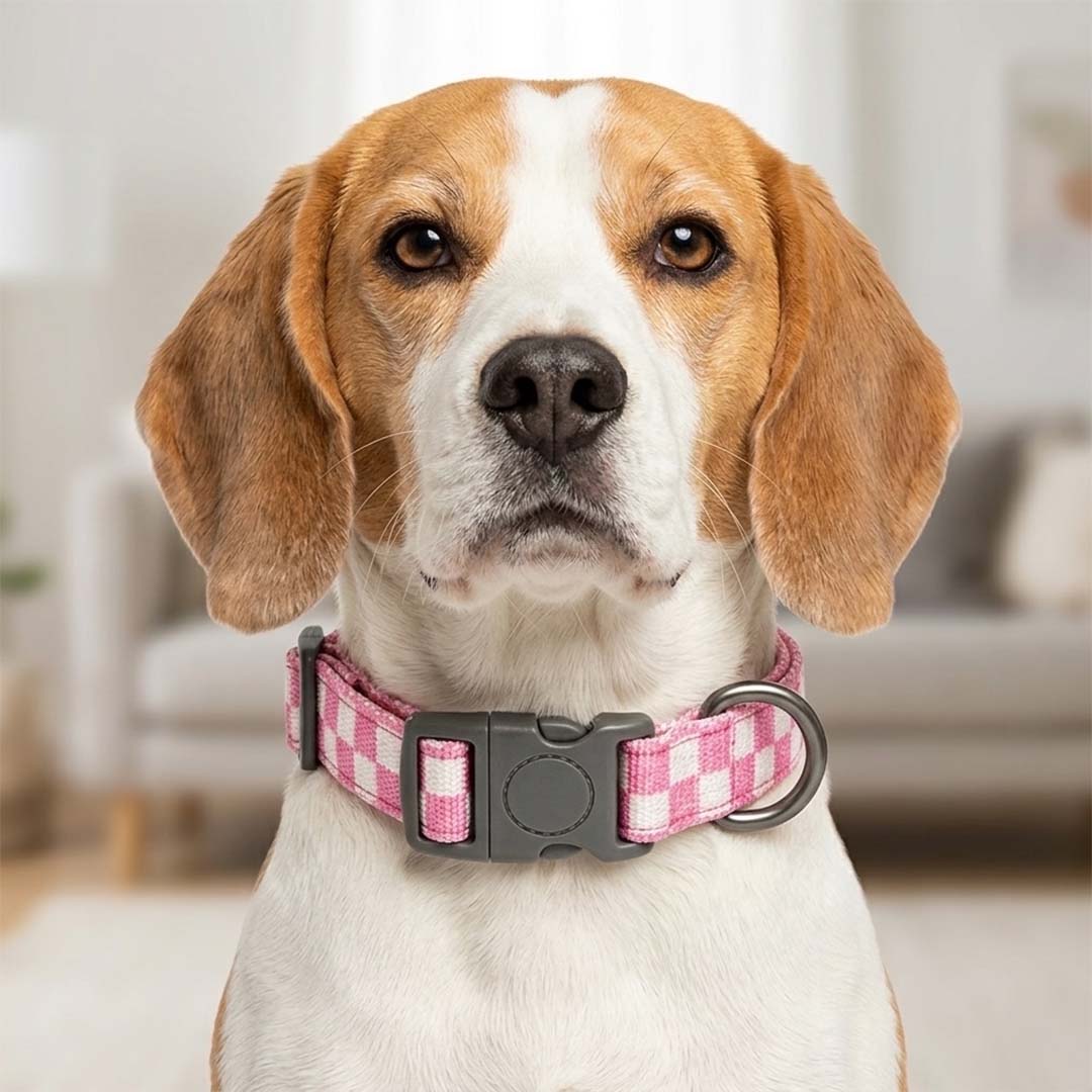 Talking Dog Club  Talking Dog Club - Checkmate Leash and Collar Combo - Pink