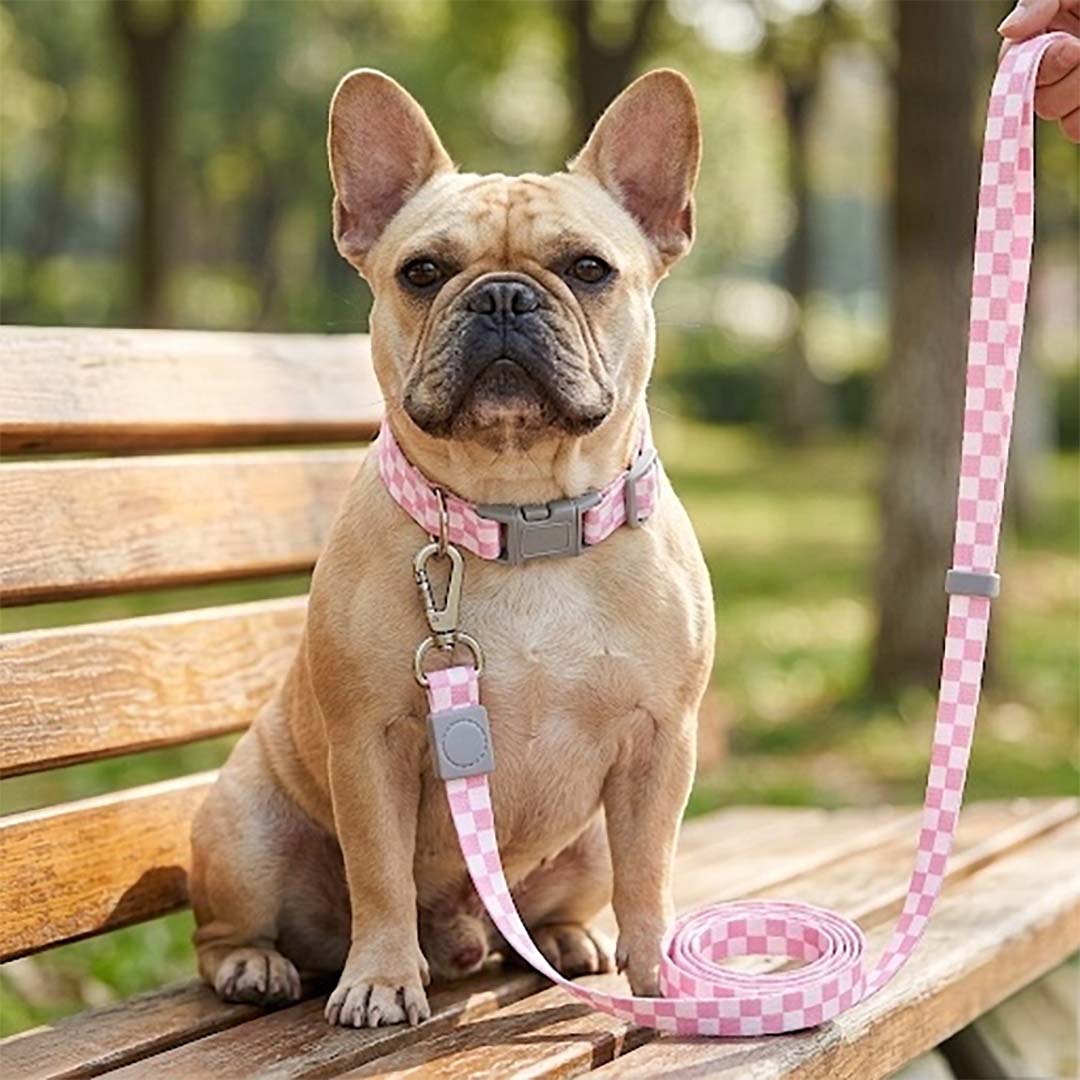 Talking Dog Club  Talking Dog Club - Checkmate Leash and Collar Combo - Pink