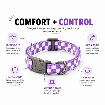 Talking Dog Club  Talking Dog Club - Checkmate Leash and Collar Combo - Purple