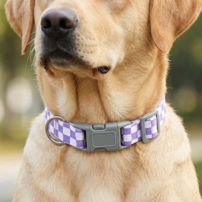 Talking Dog Club  Talking Dog Club - Checkmate Leash and Collar Combo - Purple