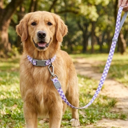 Talking Dog Club  Talking Dog Club - Checkmate Leash and Collar Combo - Purple