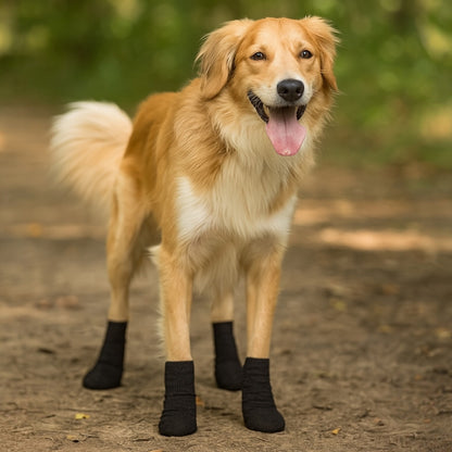 Talking Dog Club  Cover them Paws - Self Adhesive Wraps - Black