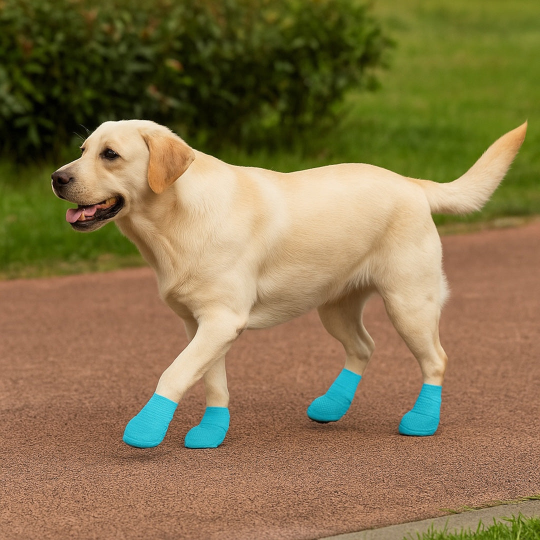 Talking Dog Club  Cover them Paws - Self Adhesive Wraps - Sky Blue