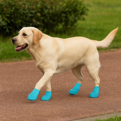 Talking Dog Club  Cover them Paws - Self Adhesive Wraps - Sky Blue
