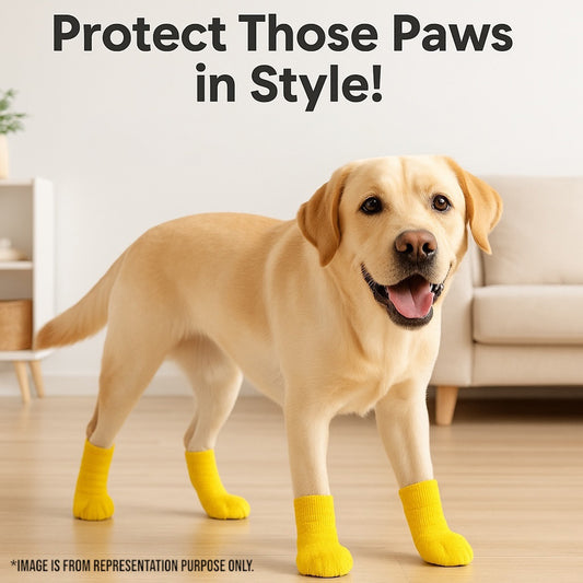 Talking Dog Club Cover them Paws - Self Adhesive Wraps - Yellow