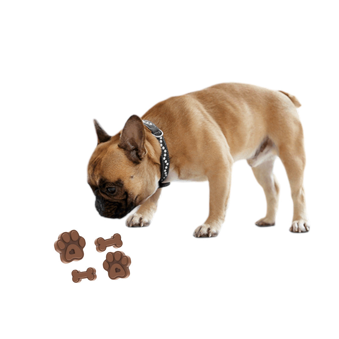 Talking Dog Club  Dog Treat - Silicone Mould