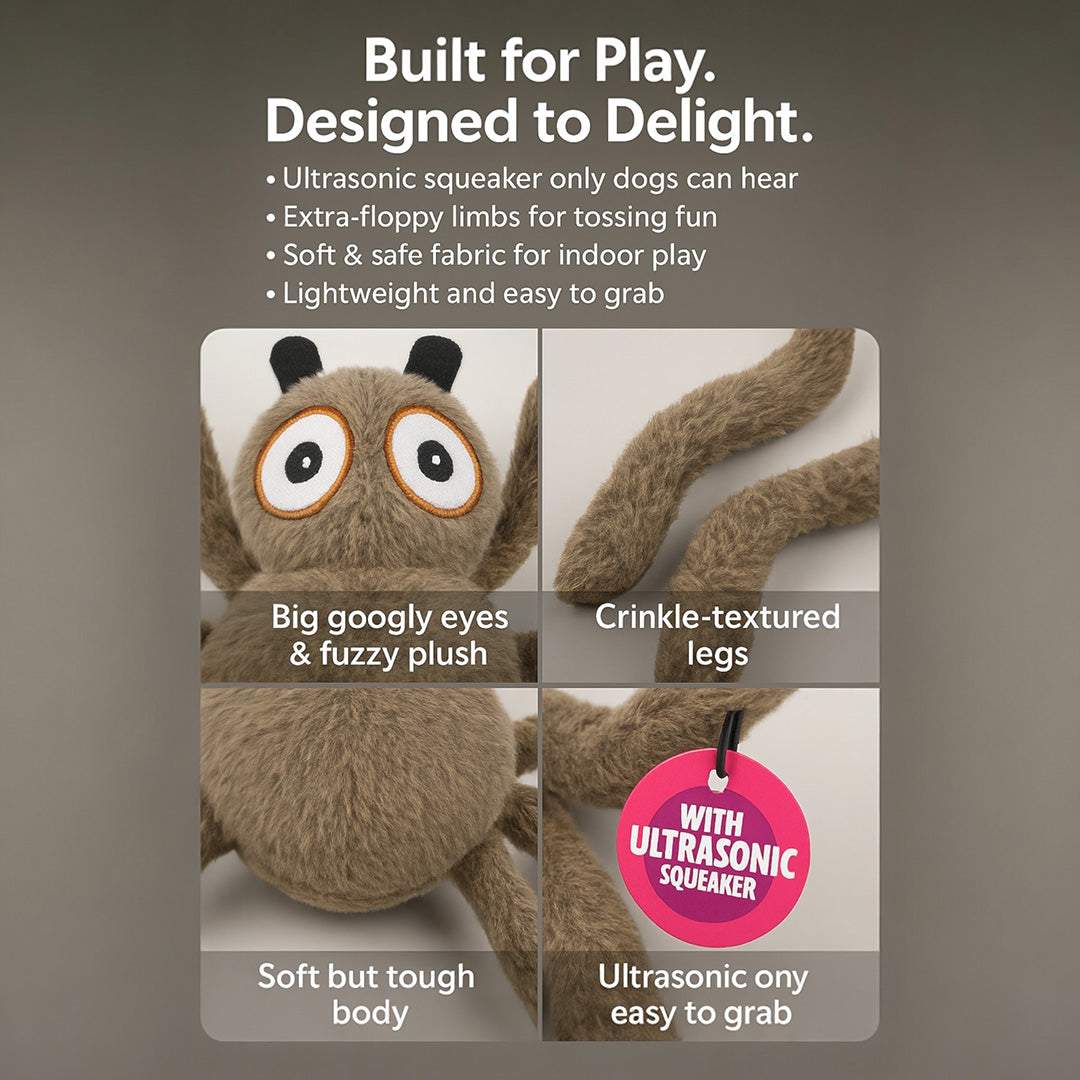 Talking Dog Club  Itsy Bitsy Spider Plush - Ultrasonic-Silent Squeaker Toy