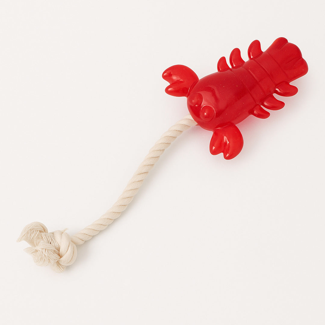 Talking Dog Club  Lobster with Rope Treat dispenser Toy for dogs