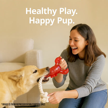 Talking Dog Club  Lobster with Rope Treat dispenser Toy for dogs